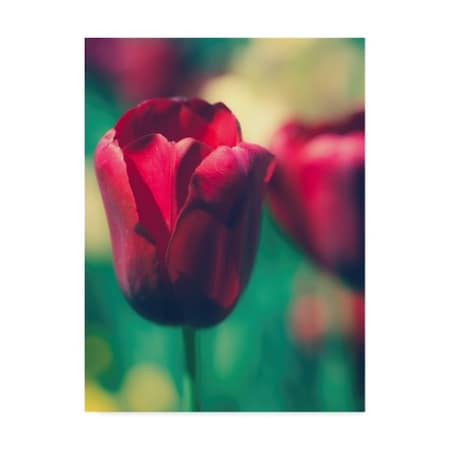 Sonja Quintero 'Tulip Sway I' Canvas Art,18x24